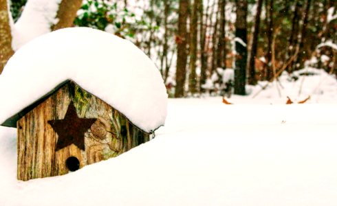 Brown Wooden Birdhouse Covered With Snow photo