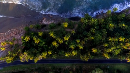 Aerial Shot Of Trees