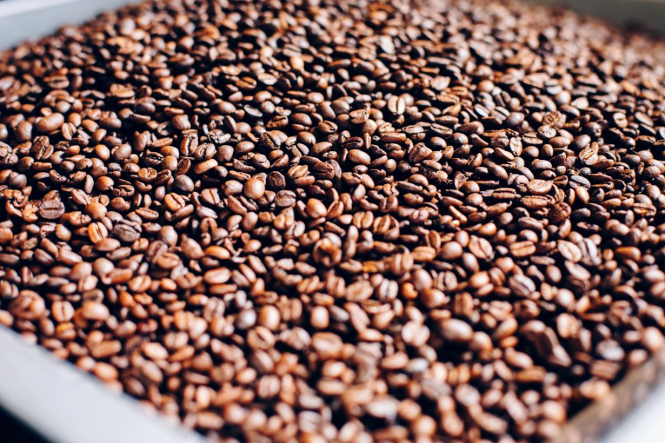 Close-Up Photography Of Roasted Coffee Beans photo