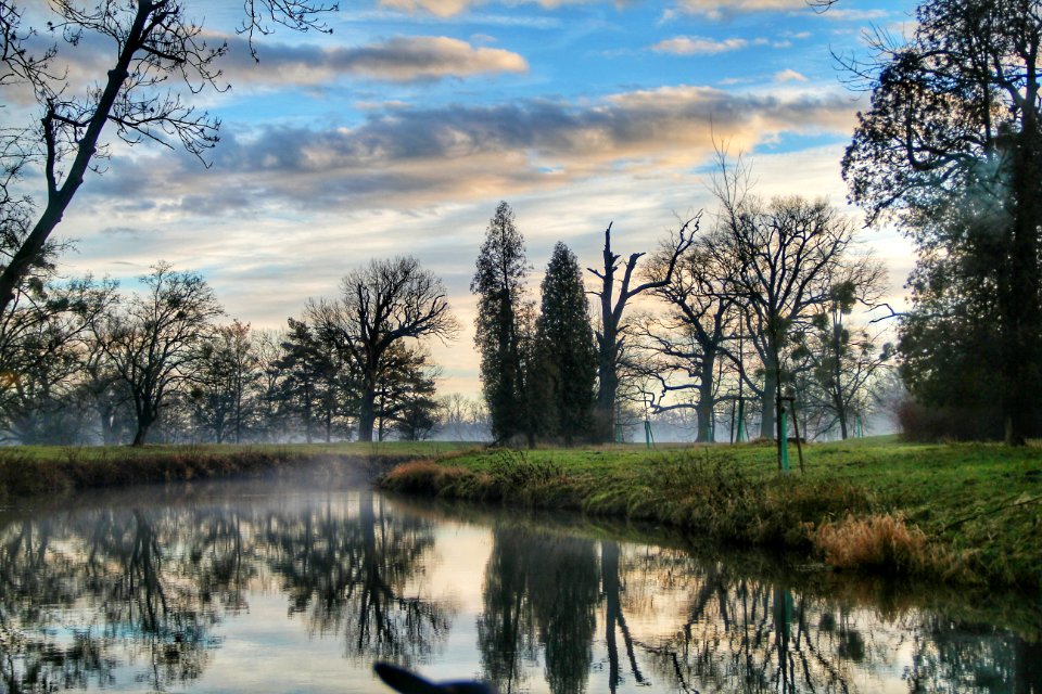 Landscape Of River Forest