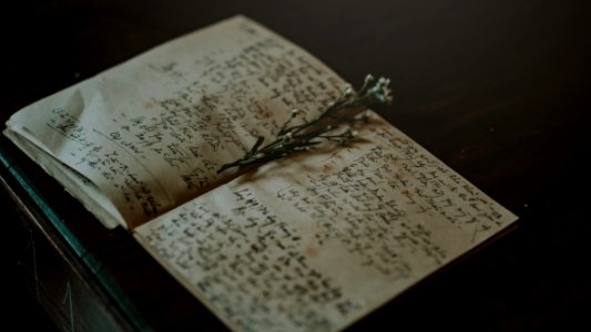 Close-up Photo Of White And Black Journal