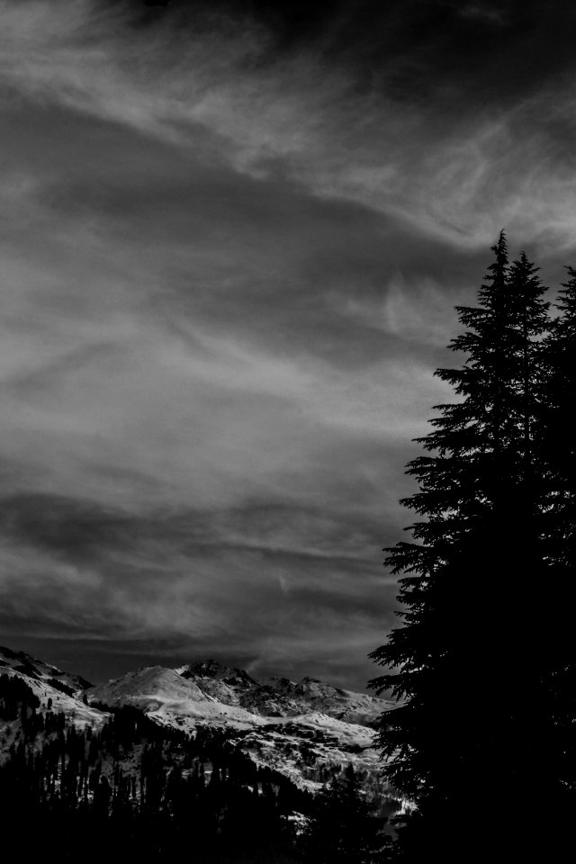Mountain And Trees
