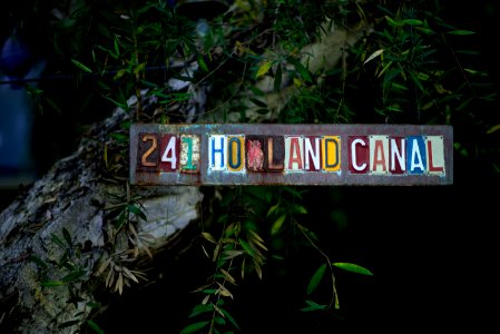 Multi-colored 241 Holland Canal Signage Mounted On Rock photo