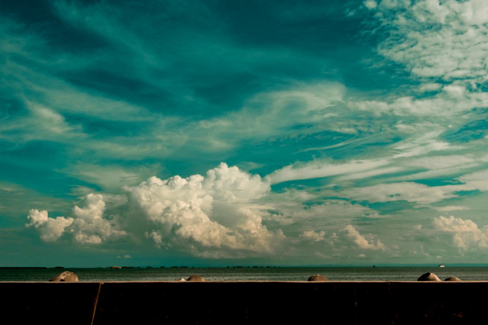 Landscape Photo Of Shoreline