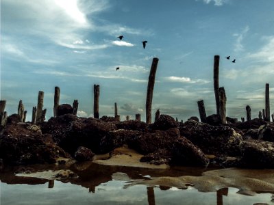 Red Corral Reef Under Cloudy Blue Sky