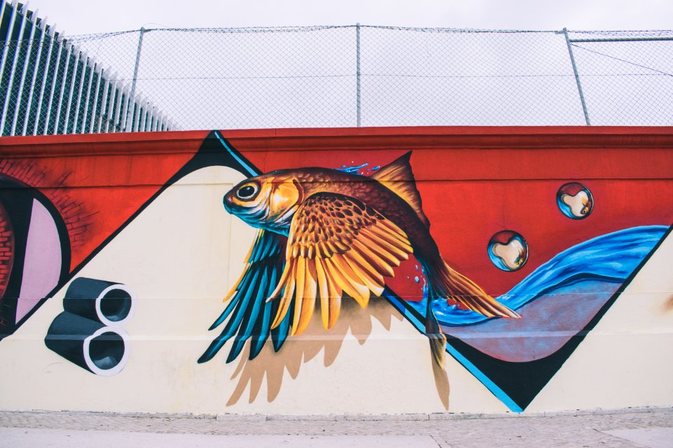 Photo Of Brown Blue Red And White Fish With Wings Wall Painting