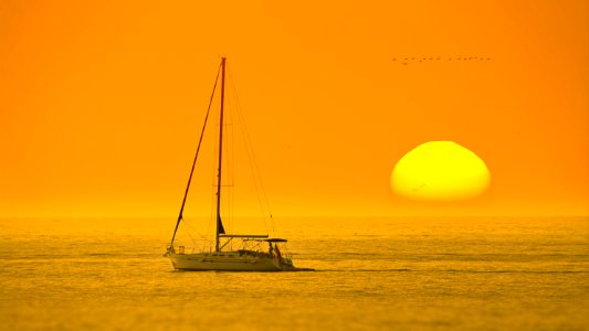 White Boat In The Middle Of The Sea During Sunset photo