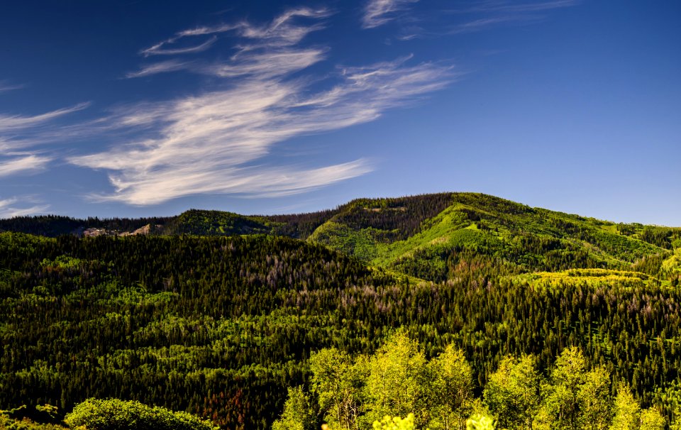Green Tress And Mountain Under Blue Sky