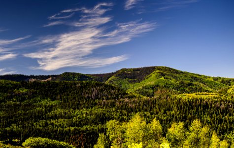 Green Tress And Mountain Under Blue Sky photo