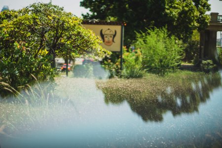 White Signpost Over Small Body Of Water Surrounded By Tall Trees At Daytime