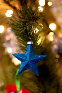 Shallow Focus Photography Of Blue Star Christmas Tree Decor photo