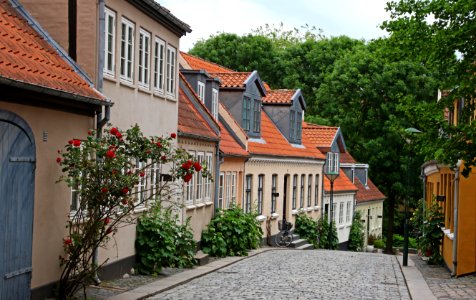 Beige And Brown Painted Houses