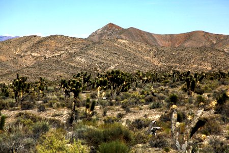 Brown Mountain