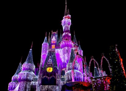 Pink White And Purple Light-up Disneyland Castle