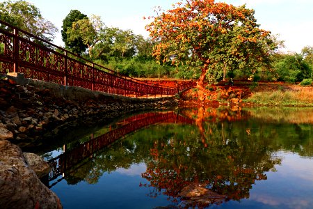 Reflection Of A Tree On Body Of Water Beside A Bridge Under Calm Blue Sky photo
