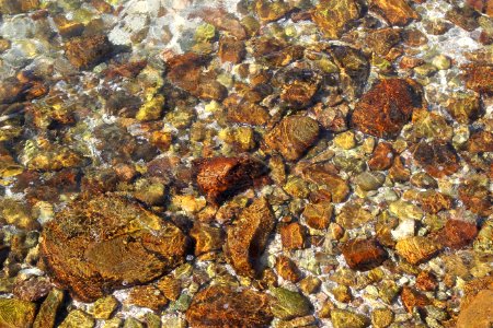 Stones Under Clear Water photo