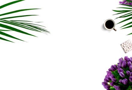 Top-view Photography Of White Ceramic Mug On White Background