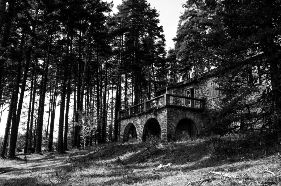 Black And White Photography Of A Bricked Wall House photo