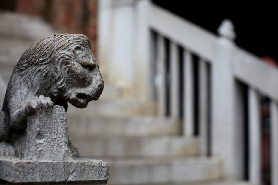 Selective Focus Photography Of Gray Concrete Lion Head Stairs Decoration At Daytime
