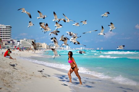 Photo Of A Woman Under Flying Seagulls photo