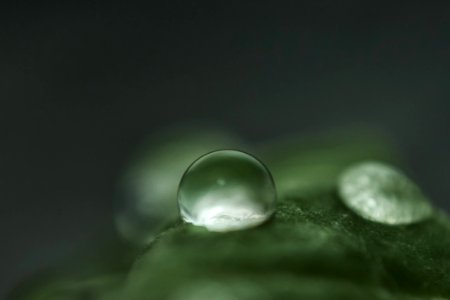 Clear Dew Droplet