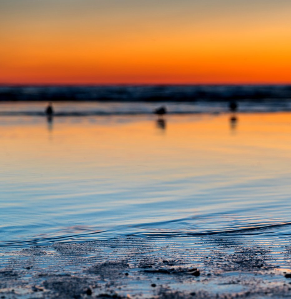 Scenic View Of The Beach