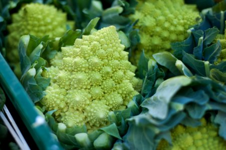 Broccoli Close-up Colors
