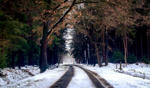 Photography Of Road During Winter Season