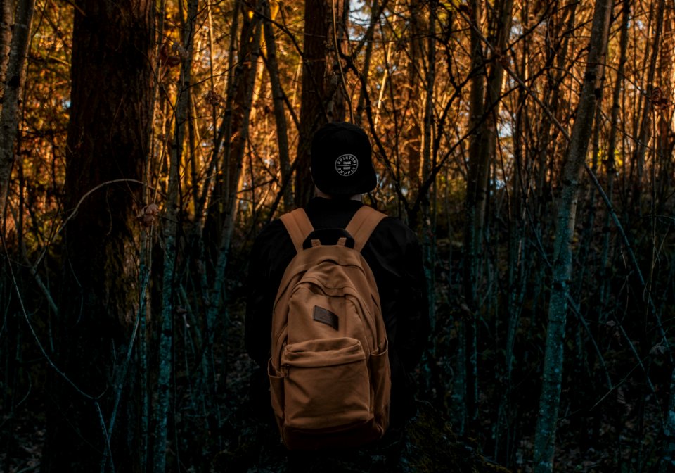 Photo Of A Person At The Forest
