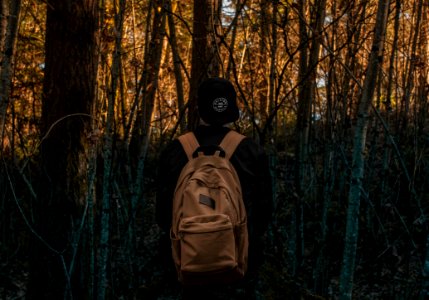 Photo Of A Person At The Forest