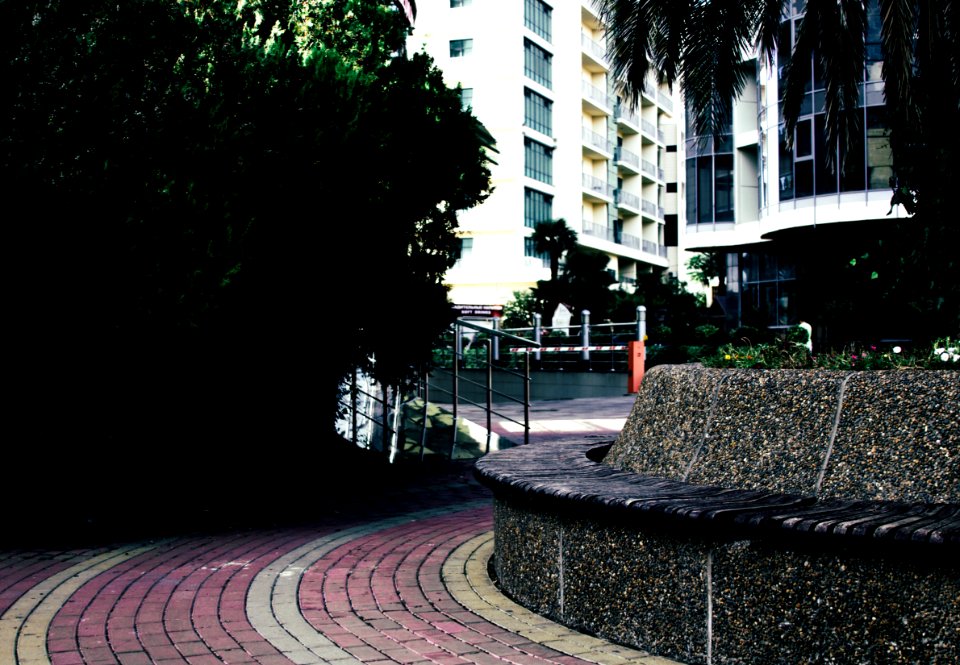 Photo Of Empty Pathway Near Trees photo