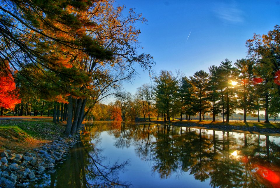 Scenic View Of The Trees