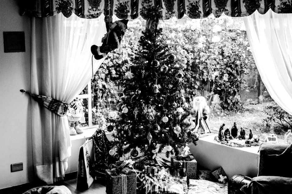 Grayscale Photo Of Christmas