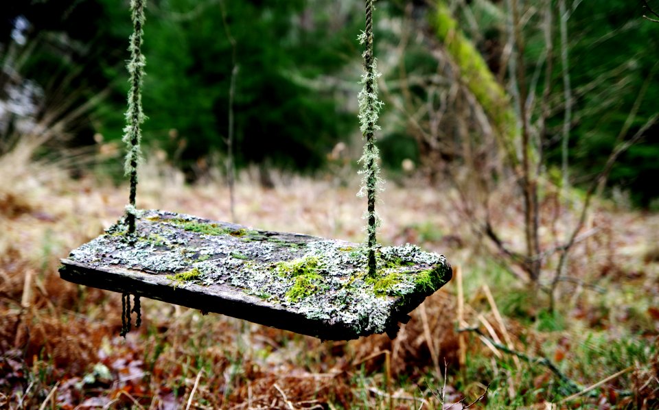 Brown Wooden Swing