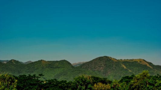 Photo Of Forest Trees Near Mountains