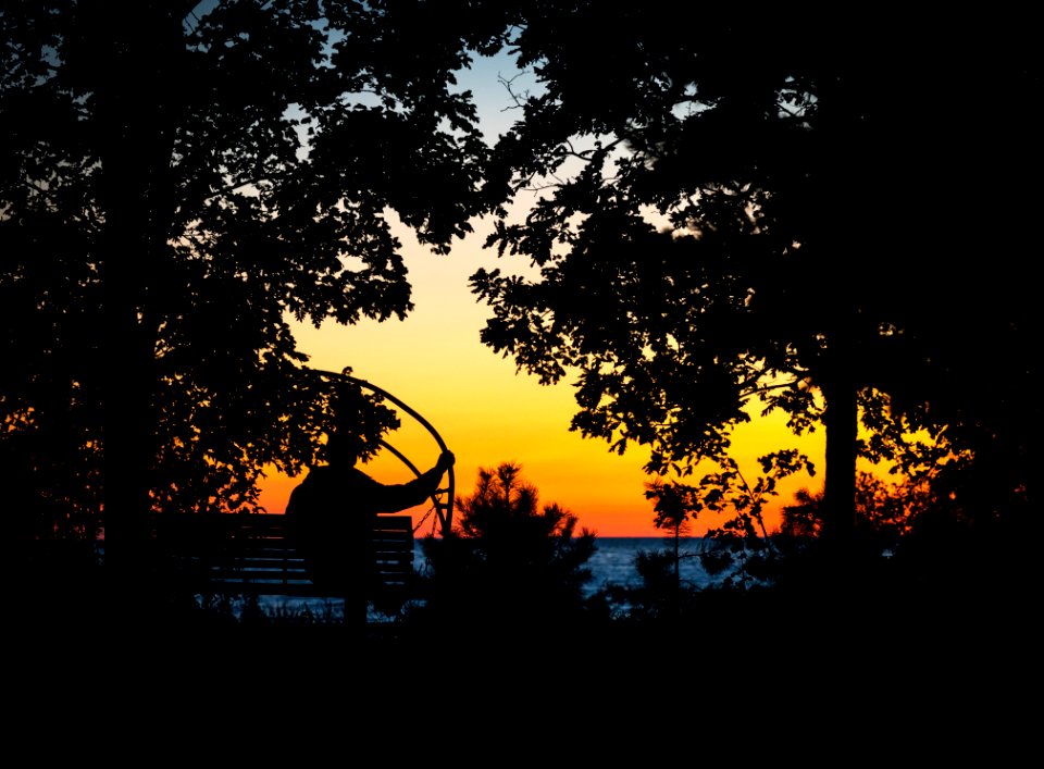 Photography Of Silhouettes Of Man And Trees
