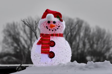 Close-Up Photography Of Snowman photo