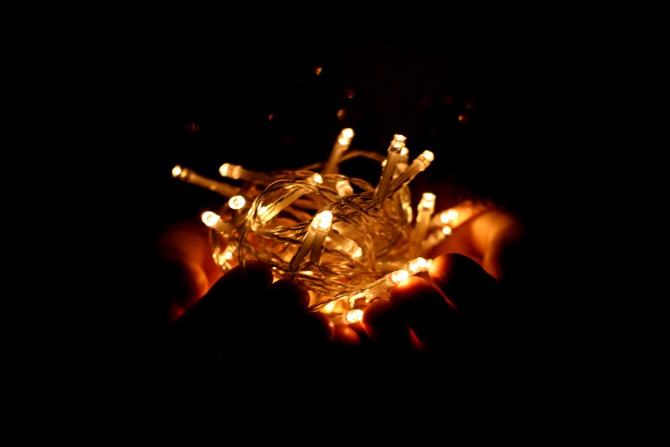 Person Holds White String Lights