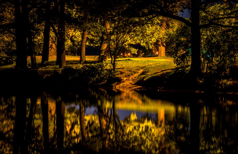 Lake Beside Forest Photography
