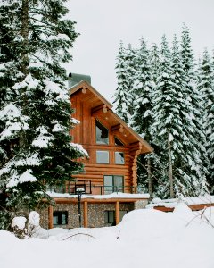 Photography Of Brown House Surrounded By Trees Covered By Snow