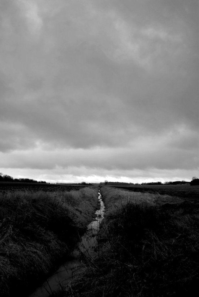 Grayscale Photo Of Grass Field
