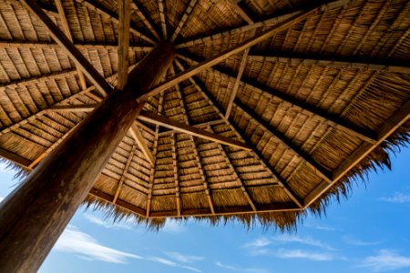 Low Angle Photography Of Brown Coconut Hut photo