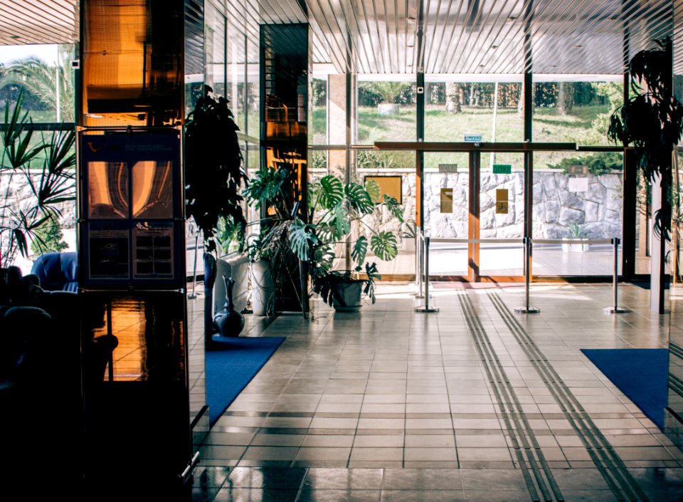 Photo Of Plants Near The Glass Door photo