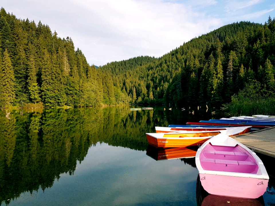 Boats On Calm Body Of Water Surrounded By Trees