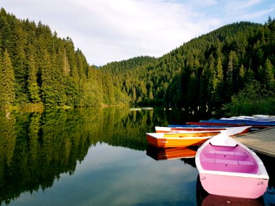 Boats On Calm Body Of Water Surrounded By Trees photo