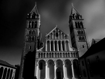 Grayscale Low Angle Photo Of A Cathedral
