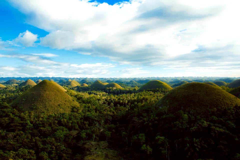 Scenic View Of Hills Surrounded By Trees