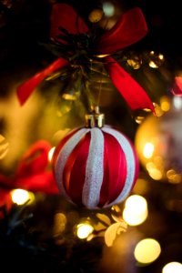 Red And White Stripe Christmas Bauble Hanging On Christmas Tree photo