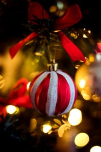 Red And White Stripe Christmas Bauble Hanging On Christmas Tree
