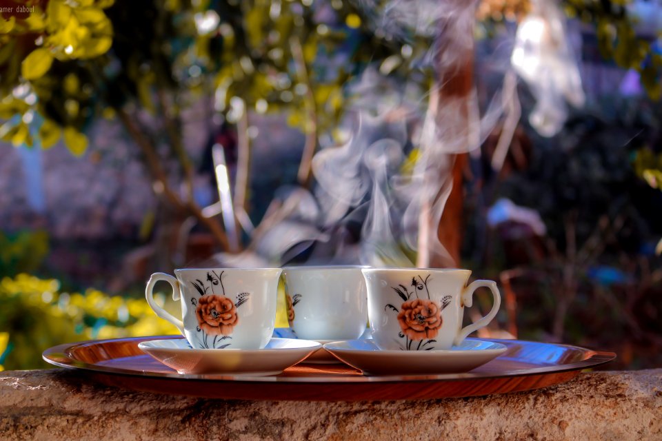 Shallow Focus Photo Of Three White-brown-and-black Ceramic Floral Mugs On Saucers photo